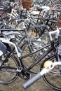 Many bicycles on Copenhagen street