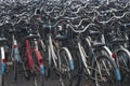 Many bicycles park in rental shop