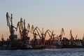 BERDYANSK - UKRAINE, SEPTEMBER 02, 2016: Many big cranes silhouette in the port at golden light of sunrise reflected in water