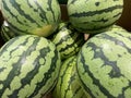 Many big fresh and sweet green watermelons Royalty Free Stock Photo