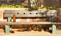 many big orange bottles of beer made of glass completely empty at the park due to somebody has drunk time before leaving them on Royalty Free Stock Photo