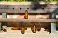 many big orange bottles of beer made of glass completely empty at the park due to somebody has drunk time before leaving them on