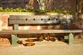 many big orange bottles of beer made of glass completely empty at the park due to somebody has drunk time before leaving them Royalty Free Stock Photo