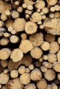 Many Big Pine Wood logs In Large Woodpile Background Texture Royalty Free Stock Photo