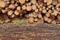 Many Big Pine Wood logs In Large Woodpile Background Texture Royalty Free Stock Photo