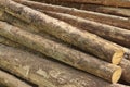 Many Big Pine Wood logs In Large Woodpile Background Texture Royalty Free Stock Photo