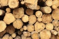 Many Big Pine Wood logs In Large Woodpile Background Texture