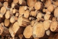 Many Big Pine Wood logs In Large Woodpile Background Texture