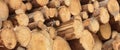 Many Big Pine Wood logs In Large Woodpile Background Texture Royalty Free Stock Photo