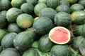 Many big sweet green watermelons and one cut half watermelon