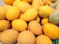 Many big yellow melons fruits