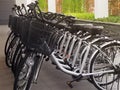Many bikes are arranged in a row. For rent Transport concept without pollution