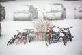 Many bikes parked in snow storm Royalty Free Stock Photo