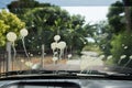 Many bird droppings on the car glass