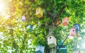 Many birdhouses of different colors on the tree