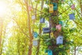 Many Birdhouses of different colors on the tree
