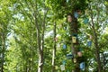 Many Birdhouses of different colors on the tree