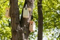 Many Birdhouses of different colors on the tree, housing issue