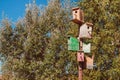 Many birdhouses hang on one post.