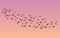 Many birds flying in the sky, nature series Royalty Free Stock Photo