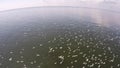 Many birds go hunting on the beach. Beautiful shot of aerial view