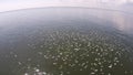 Many birds go hunting on the beach. Beautiful shot of aerial view