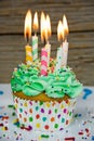 many birthday candles in cupcake