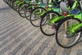 Many black and green bicycles in a row. Trends in bicycle-making industry. Group of cycles. Bike stand on parking for rent. Eco