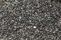 Many black kidney beans closeup Royalty Free Stock Photo