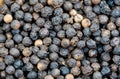 many black peppercorns Royalty Free Stock Photo