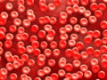Many bloodcells Royalty Free Stock Photo