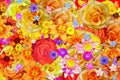 Many blooming mallow or malva flower and different flowers abstract background