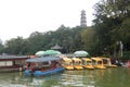 Many Boats parking at Huizhou West Lake Royalty Free Stock Photo