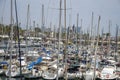 Many boats, yachts and sailboats moored in Port Olimpic Marina, Barcelona, Spain Royalty Free Stock Photo