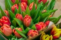 Many bouquets of tulip flowers. Spring bouquets close up