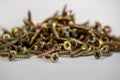 Many brass colored wood screws