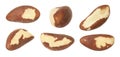 Many Brazil nuts isolated on white, set Royalty Free Stock Photo