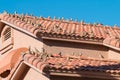 Many brids on a house roof. Royalty Free Stock Photo