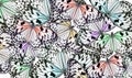 Many bright butterflies on white. Beautiful insect