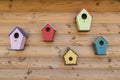 Many bright colored birdhouse and bird feeders on wooden fence. Different birdhouses on wall