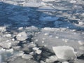 Ice floes in the Oslo fjord, Norway