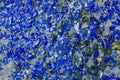 Many broken pieces of glass in blue Royalty Free Stock Photo