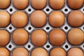 Many Brown Eggs from a chicken farm in the package Royalty Free Stock Photo