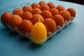 Many brown eggs and one yellow egg-shaped candle in a special plastic box Royalty Free Stock Photo