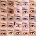 Many Brown Eyes Eyebrows set of Asian Woman 20`s