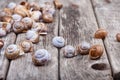 Many brown spiral shells on old wooden board decorative photo Royalty Free Stock Photo