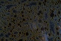 Many bubbles circles macro background Royalty Free Stock Photo