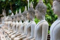 Many buddha statue sit Royalty Free Stock Photo
