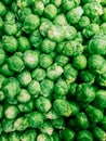 Brussel sprouts Top view photo in close up