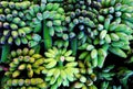 Many bunch of bananas in green bulk in heap on floor outside agriculture product barn Royalty Free Stock Photo